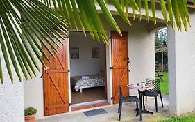 Appartement Cosy Dans Une Maison Proche Mett Tram